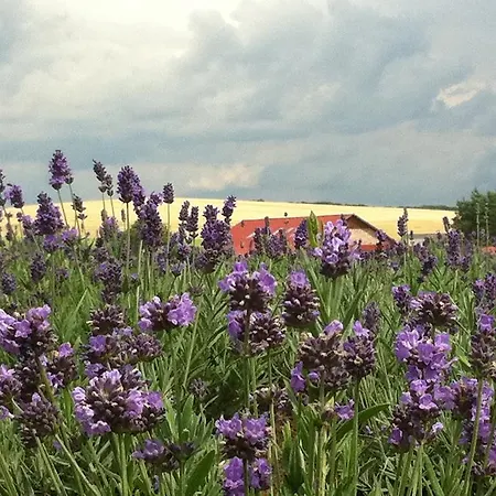 Ferienhaus Lavender Szirák
