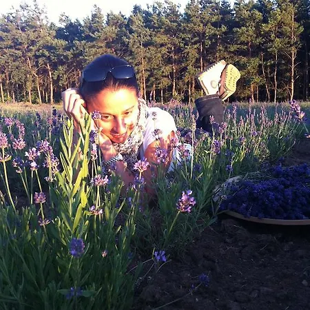 Ferienhaus Lavender *