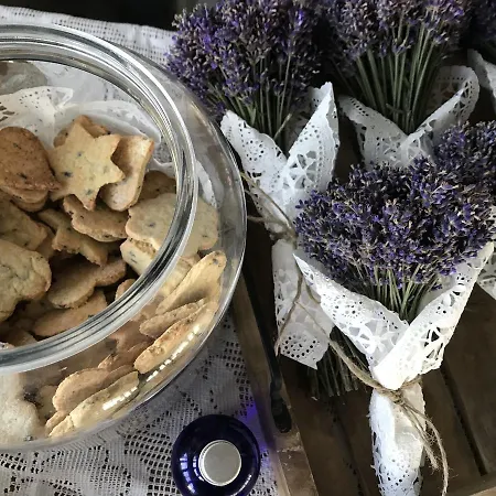 Lavender Ferienhaus Szirák