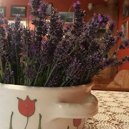 Lavender Ferienhaus *